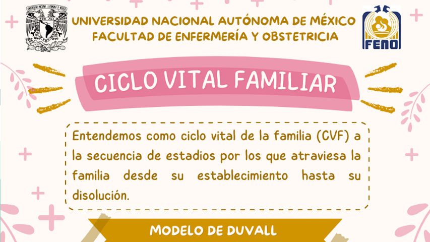 Imagen 9